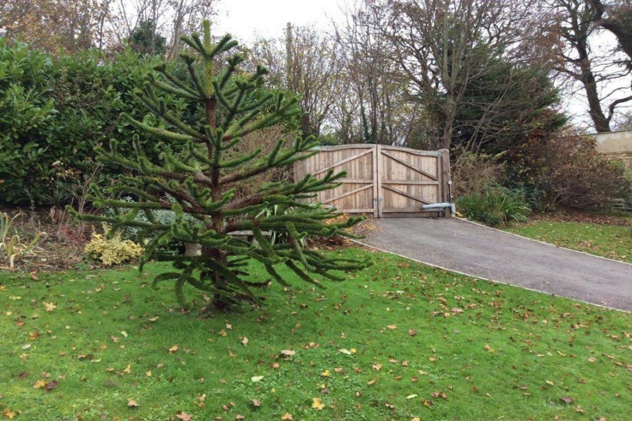 Bed and Breakfast Longacre Freshford Esterno foto